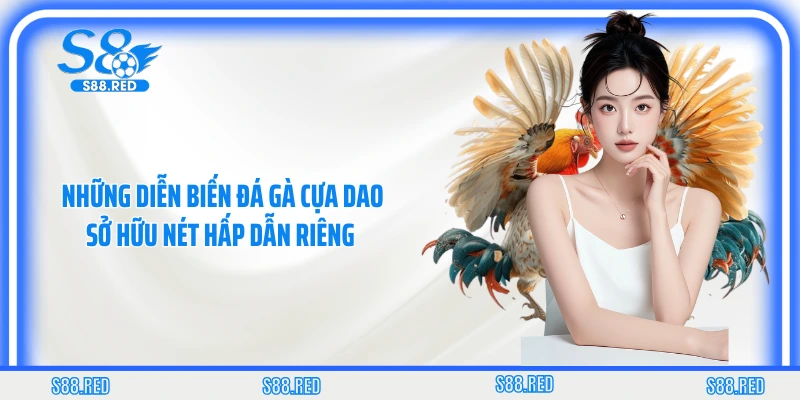 Những diễn biến đá gà cựa dao sở hữu nét hấp dẫn riêng 